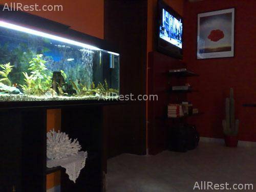 Villa Sunrise Hotel 16